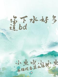 你下水好多下水道bd