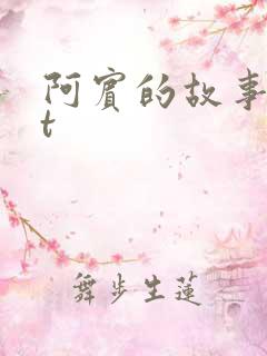 阿宾的故事txt