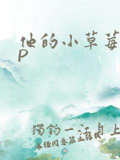 他的小草莓POP