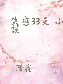 失恋33天 小说
