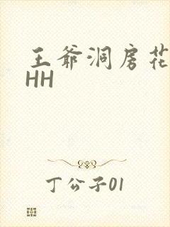 王爷洞房花烛夜HH