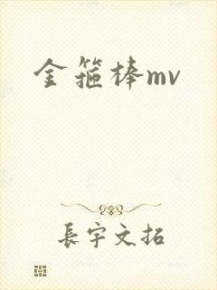 金箍棒mv