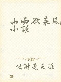 山雨欲来风满楼小说