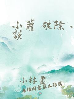 小萝 破除 小说