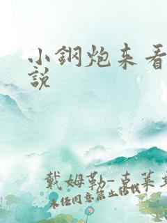 小钢炮来看我小说