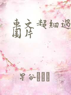 车文超细过程长图片