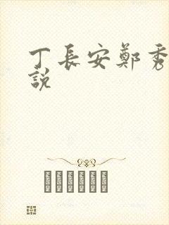 丁长安郑秀兰小说