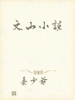 文山小说
