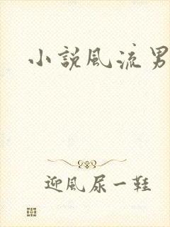 小说风流男护理