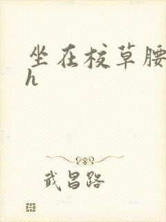 坐在校草腰上动h