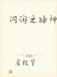 网游之睡神传说