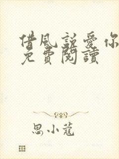 借风说爱你小说免费阅读