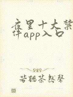 夜里十大禁用软件app入口