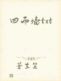 四面墙txt
