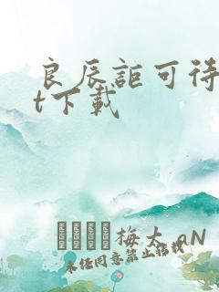 良辰讵可待txt下载