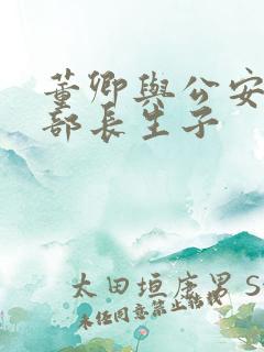 董卿与公安部副部长生子