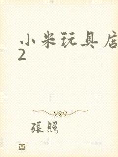 小米玩具店老板2