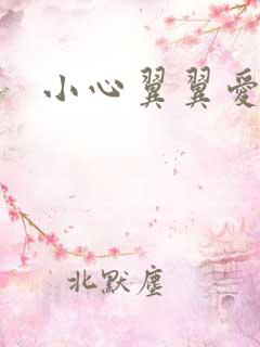 小心翼翼爱上你