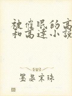 被催眠的高小柔和高达小说