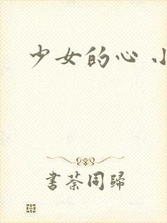 少女的心 小说