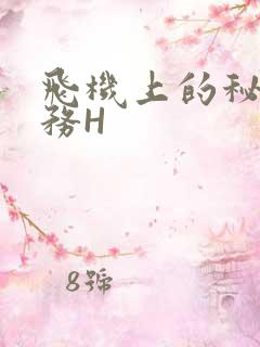 飞机上的秘密服务H