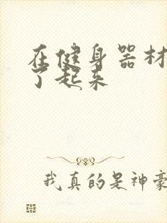 在健身器材上做了起来