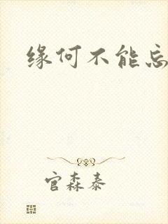 缘何不能忘记你