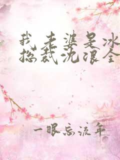 我老婆是冰山女总裁沈浪全集