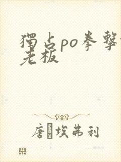 独占po拳击馆老板