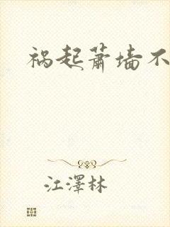 祸起萧墙不知戢