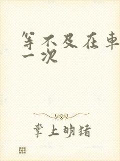 等不及在车里做一次