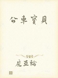 公车宝贝