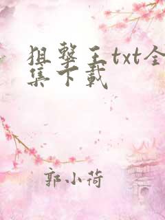 狙击王txt全集下载