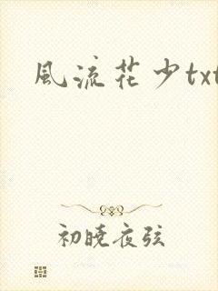 风流花少txt