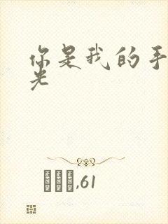 你是我的手冢国光