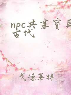 npc共享宝贝古代