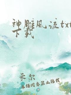 神雕风流txt下载