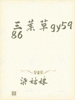 三叶草gy5986