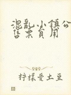 混乱小镇公交车售票员用