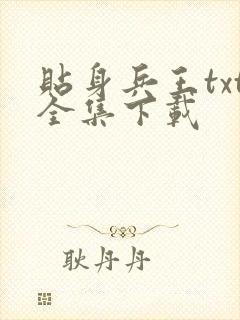 贴身兵王txt全集下载