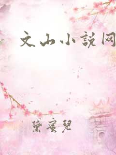文山小说网