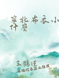宁北布衣小说叫什么