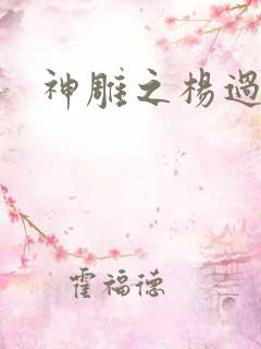 神雕之杨过新传