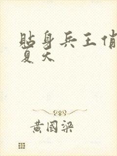 贴身兵王俏总裁夏天