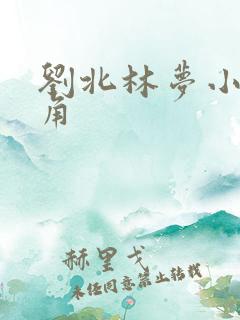 刘北林梦小说主角