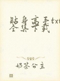 贴身高手txt全集下载