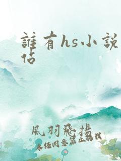 谁有hs小说网站