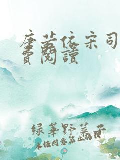 唐若依宋司琛免费阅读