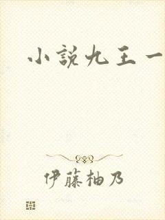 小说九王一后