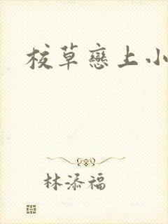 校草恋上小丫头